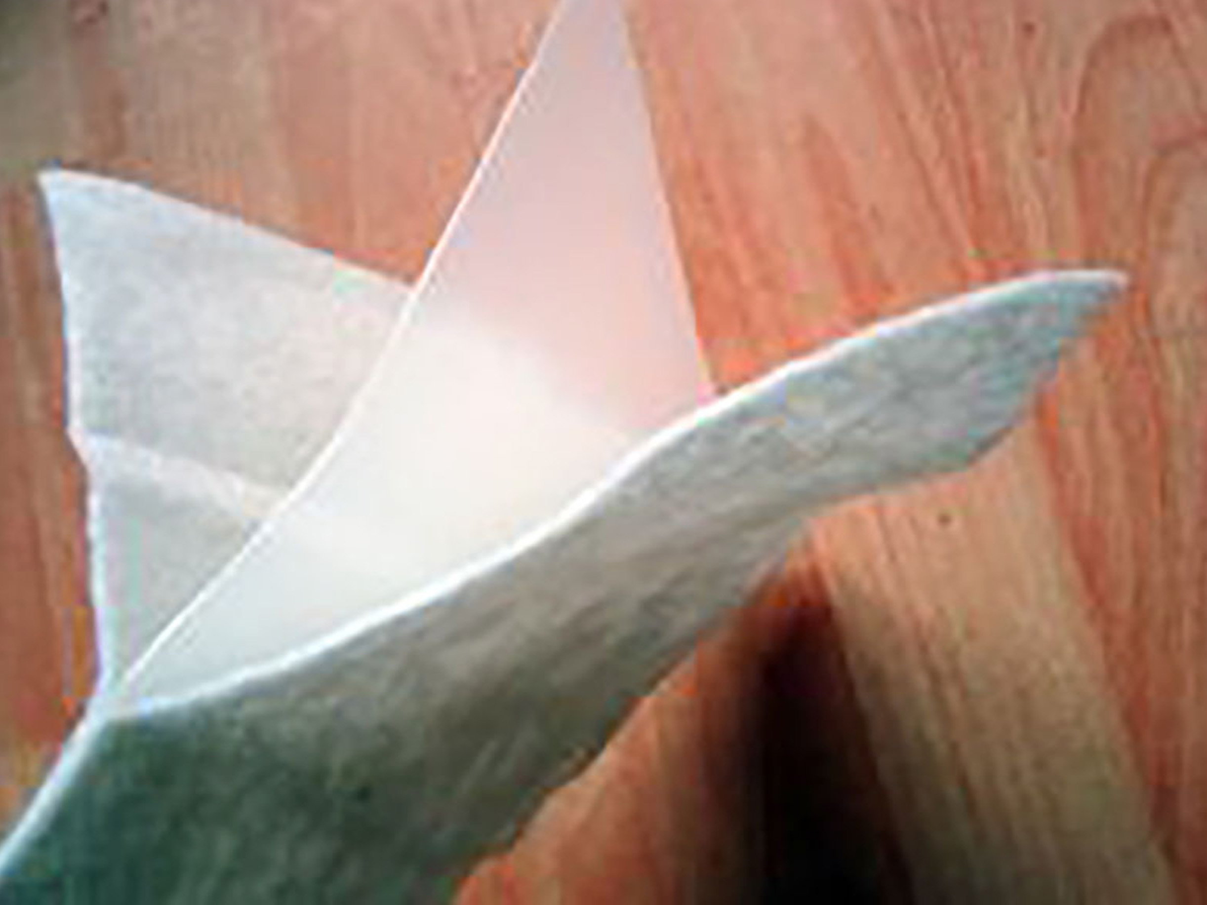 composite geomembrane