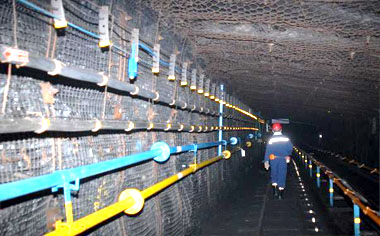 coalmine case