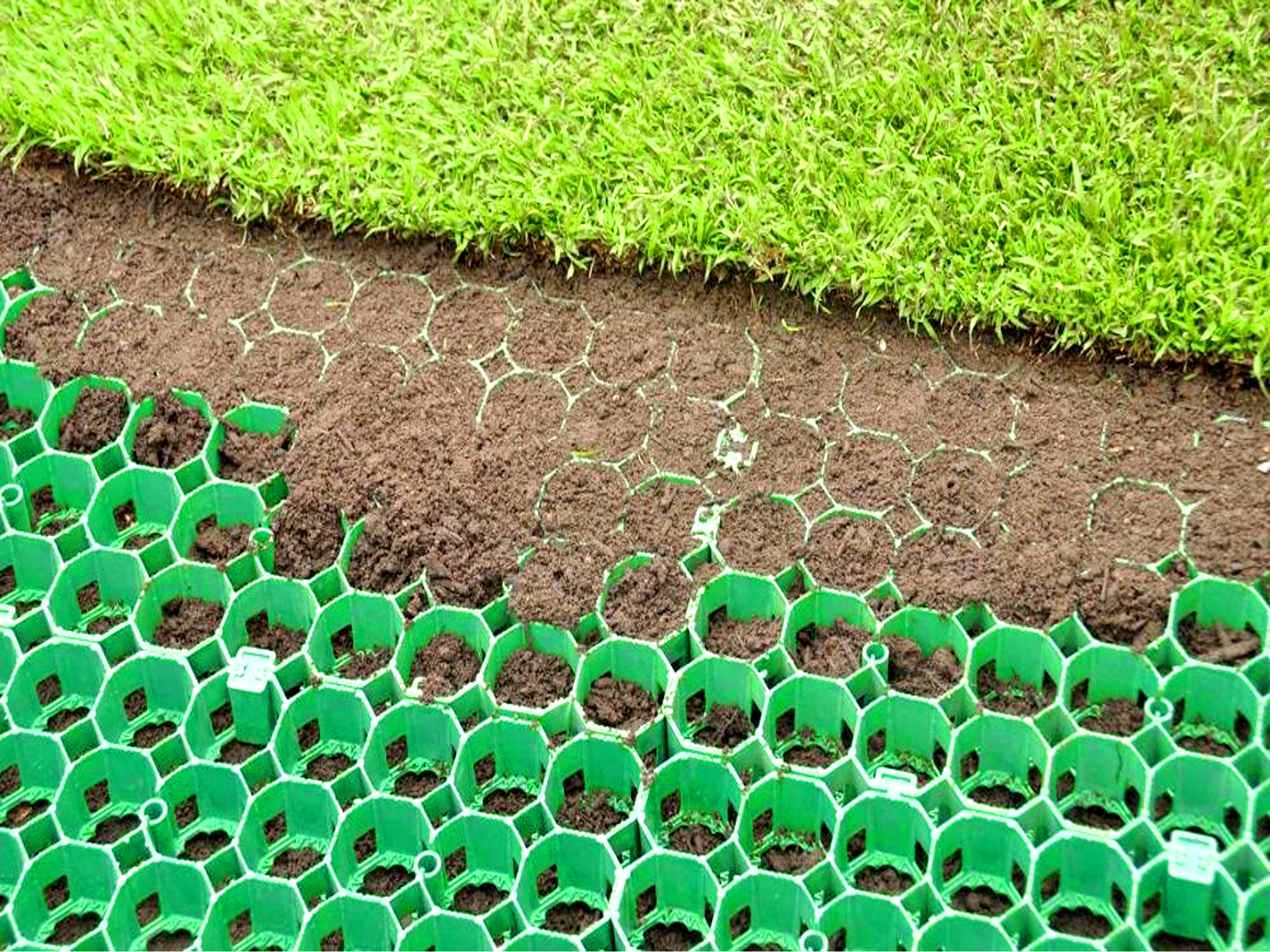 grass grid
