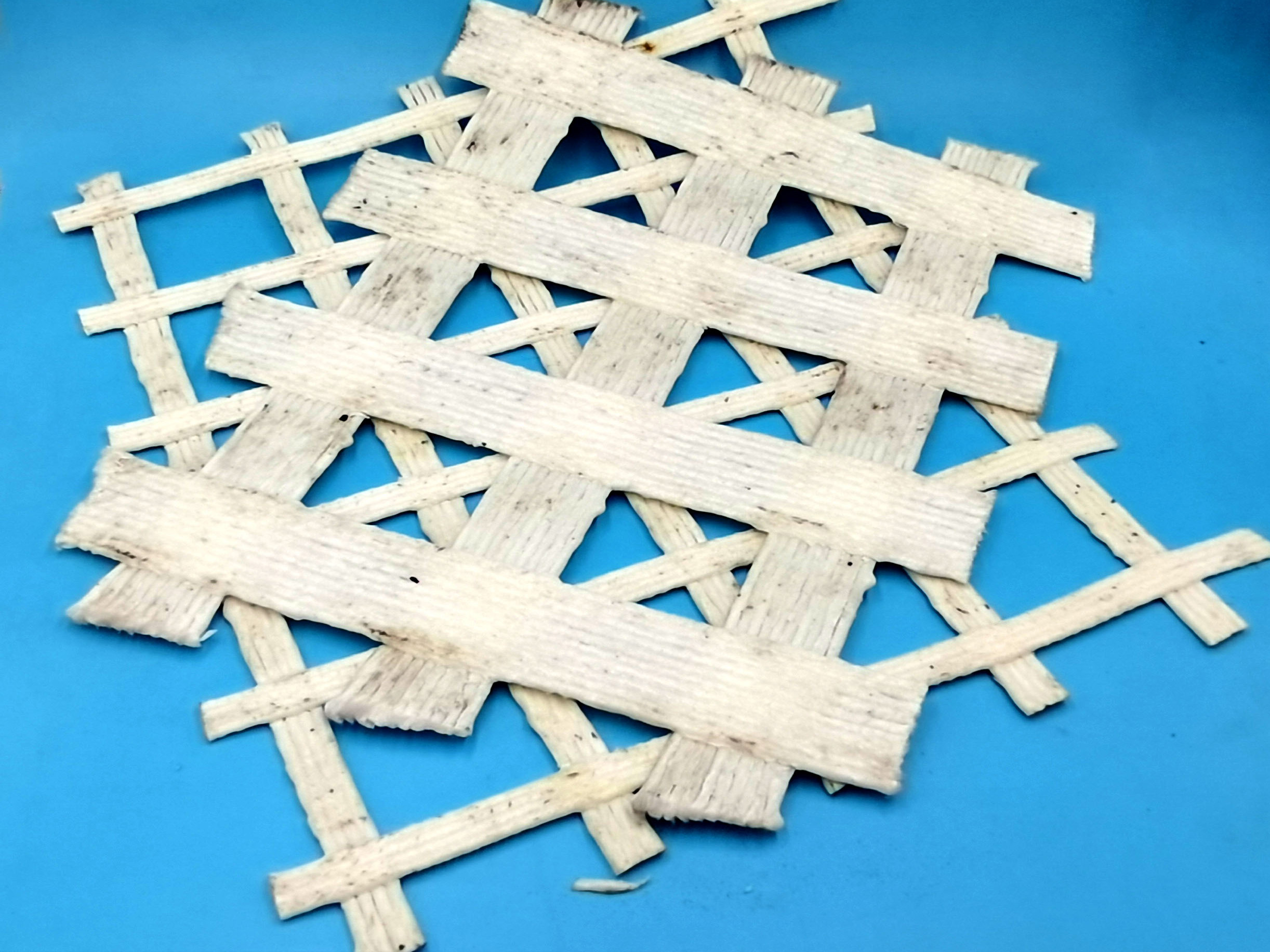 High-Strength Polyester Geogrid For
                    Mining